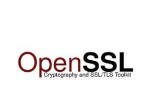 确定OpenSSL版本和配置的方法