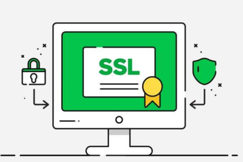 域名型通配符证书多少钱一年？申请流程