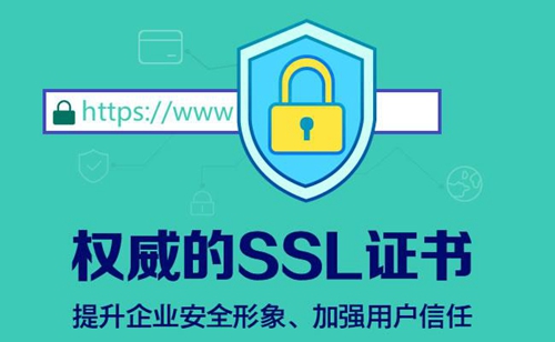 权威的SSL证书
