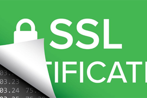 在AEP Netilla SSL VPN上创建CSR文件的方法