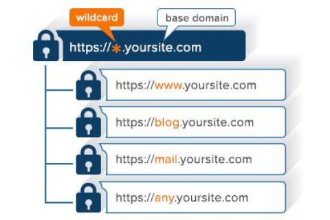 详解GlobalSign OV通配符SSL证书特点及优势