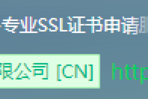 SSL证书包含了哪些信息？如何查看