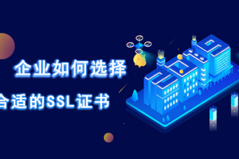 高等学校用哪种SSL证书？购买推荐