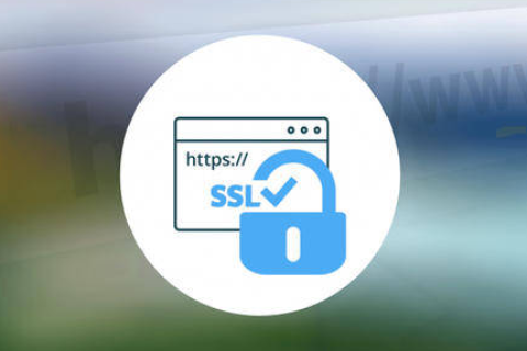 SSL证书多少钱一个？按年申请还是按月申请