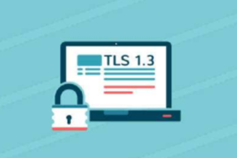 TLS最高版本的SSL证书是哪种