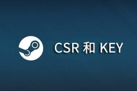 续费SSL证书时 CSR和KEY还能继续使用吗