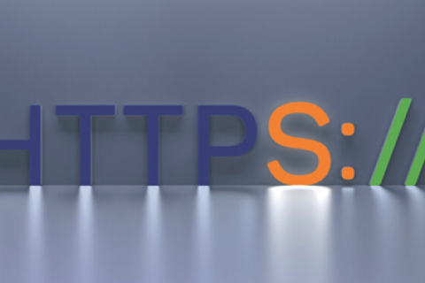 HTTPS代表什么？加密在HTTPS中扮演什么角色