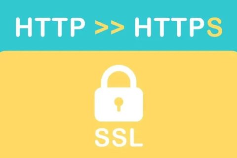 如何查看SSL证书类型？有哪些方法？