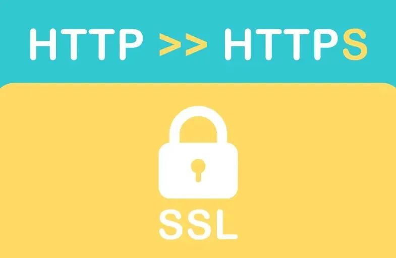 如何查看SSL证书类型