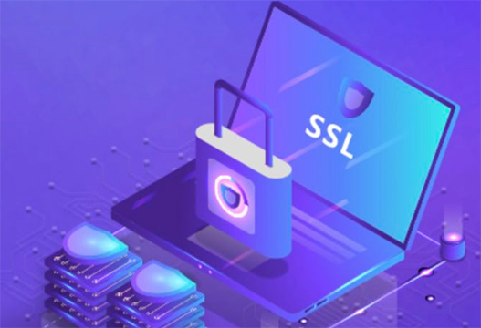 免费通配符SSL证书