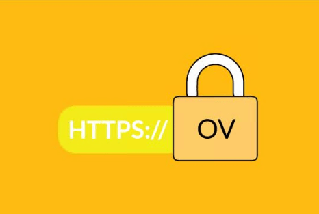 通配符OV SSL证书