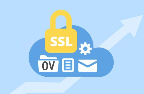 OV通配符SSL证书价格
