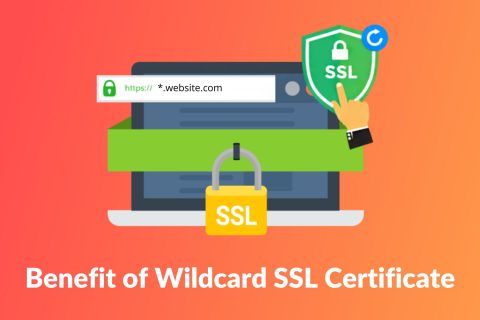 Symantec通配符SSL证书价格是多少？