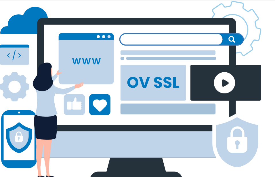 什么是OV SSL证书