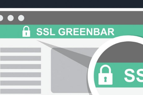 Geotrust OV通配符证书购买指南