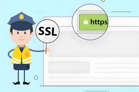 GeoTrust服务器证书有哪些类型？