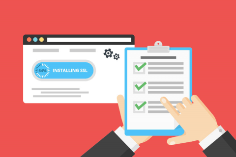 RapidSSL DV SSL证书：便宜的SSL证书购买指南