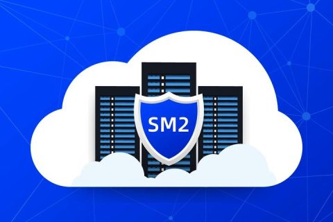 国密SSL证书供应商哪家好？