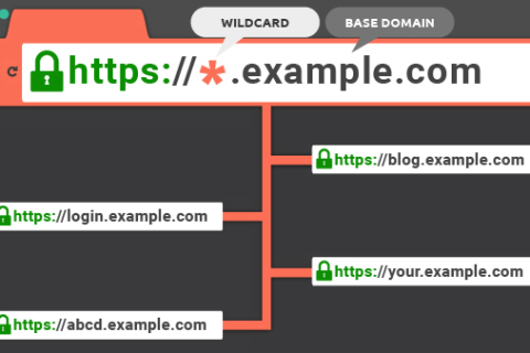 通配符证书价格详解：一年多少钱