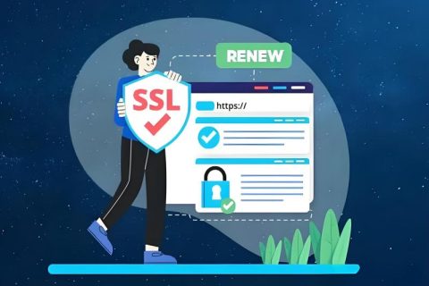 低价SSL证书品牌推荐