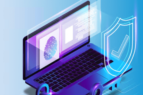 IP申请SSL证书需要多少钱？