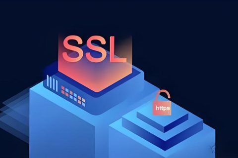 RapidSSL证书价格是多少？