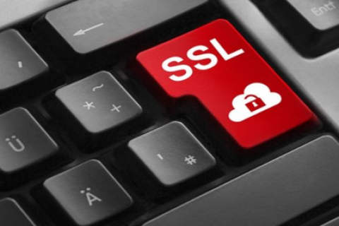 Thawte OV通配符证书价格多少？