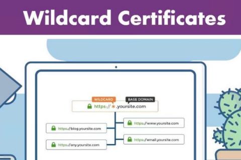 OV通配符证书和DV通配符证书的区别