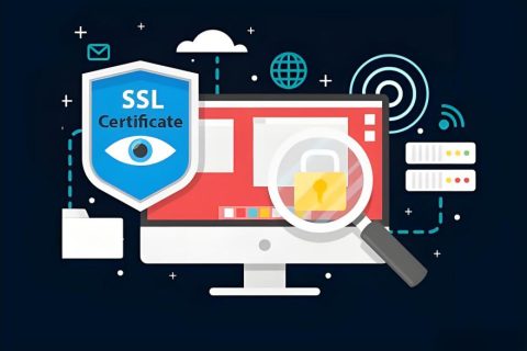 学校教务系统安装哪种SSL证书？