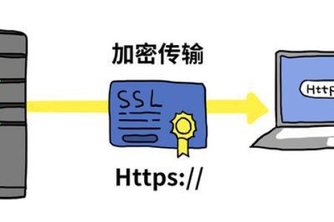 SSL证书安装到域名上还是服务器上