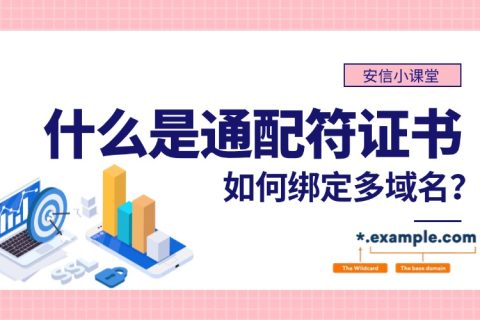 什么是通配符证书？通配符证书如何绑定多域名