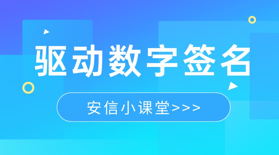 驱动数字签名