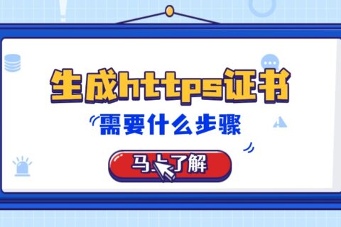 生成https证书需要什么步骤