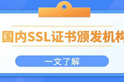 国内SSL证书颁发机构有哪些