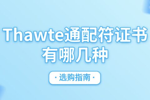 Thawte通配符证书有哪几种？选购指南