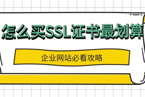 怎么买SSL证书最划算？企业网站必看攻略