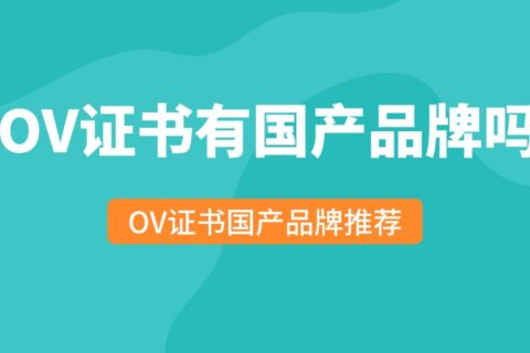 OV证书有国产品牌吗？OV证书国产SSL证书品牌推荐