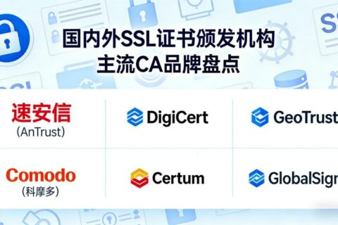 国内外SSL证书颁发机构有哪些？主流CA品牌盘点