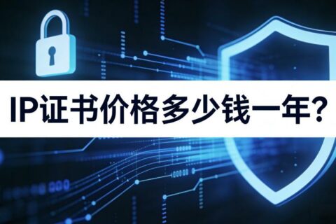 IP证书价格多少钱一年？IP SSL证书费用介绍