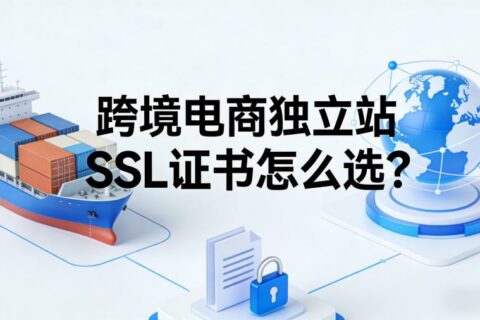 跨境电商独立站SSL证书怎么选