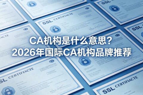 CA机构是什么意思？2026年国际CA机构品牌推荐