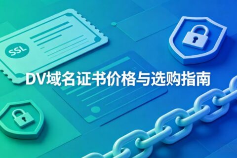 dv域名证书价格一年多少钱？2026年最新报价与选购指南