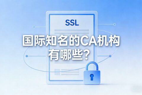 国际知名的CA机构有哪些？CA证书如何申请