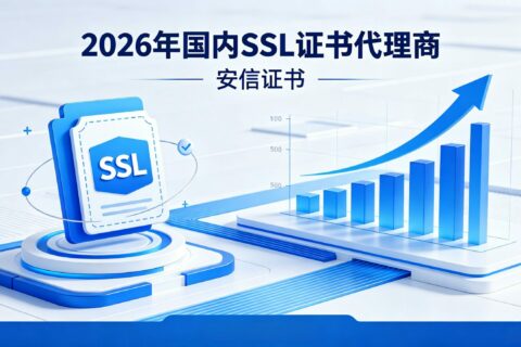 2026年如何选择国内SSL证书代理商