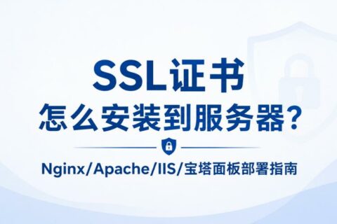 SSL证书怎么安装到服务器？Nginx/Apache/IIS/宝塔面板部署指南