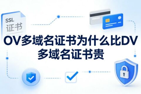 OV多域名证书为什么比DV多域名证书贵？五大核心原因深度拆解