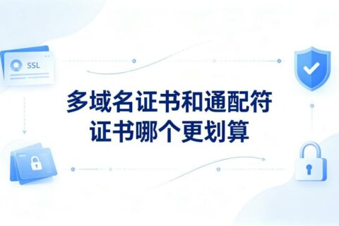 多域名证书和通配符证书哪个更划算？2026年企业SSL证书选型全攻略