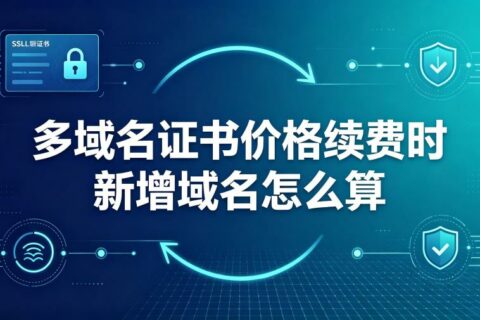 2026年多域名证书价格续费时新增域名怎么算