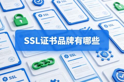 SSL证书品牌有哪些？国际品牌和国产品牌推荐及年费对比
