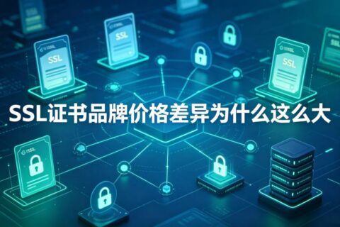 SSL证书品牌价格差异为什么这么大？2026年购买指南